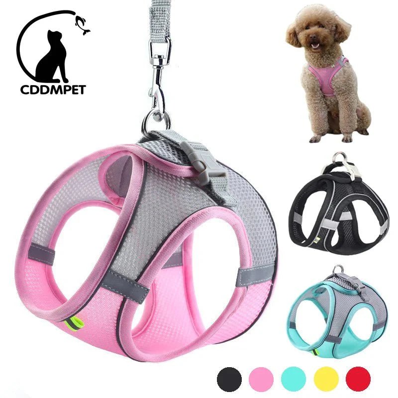 Adjustable Dog Harness Set - Purrfection Palace