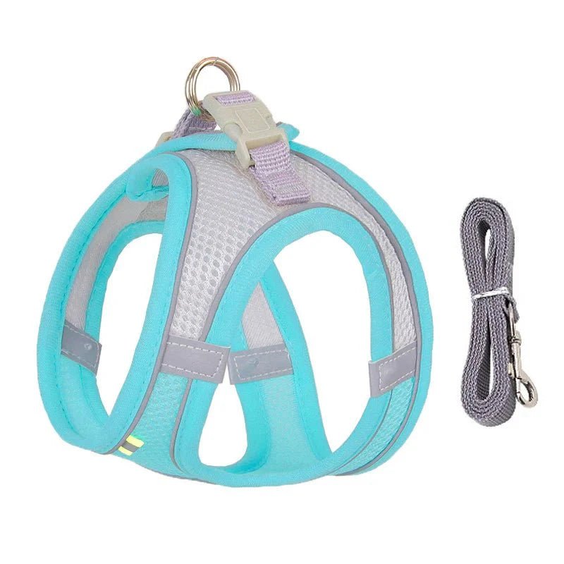 Adjustable Dog Harness Set - Purrfection Palace