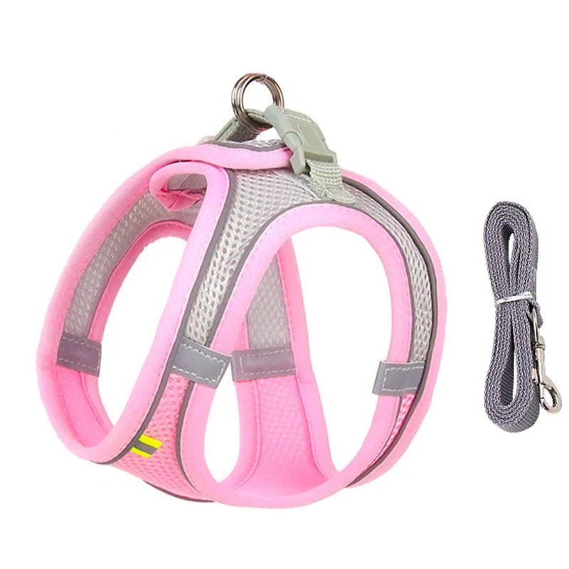 Adjustable Dog Harness Set - Purrfection Palace