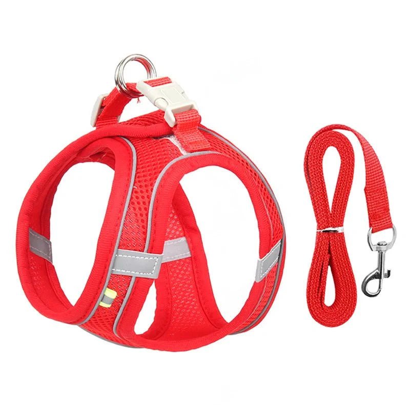 Adjustable Dog Harness Set - Purrfection Palace