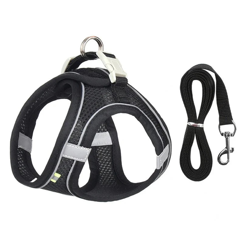 Adjustable Dog Harness Set - Purrfection Palace