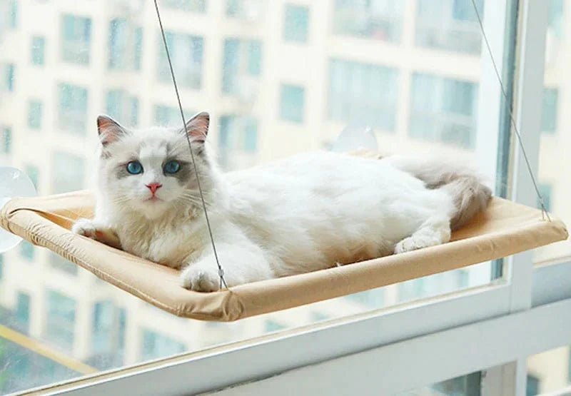 Cozy Cat Window Hanging Bed - Purrfection Palace