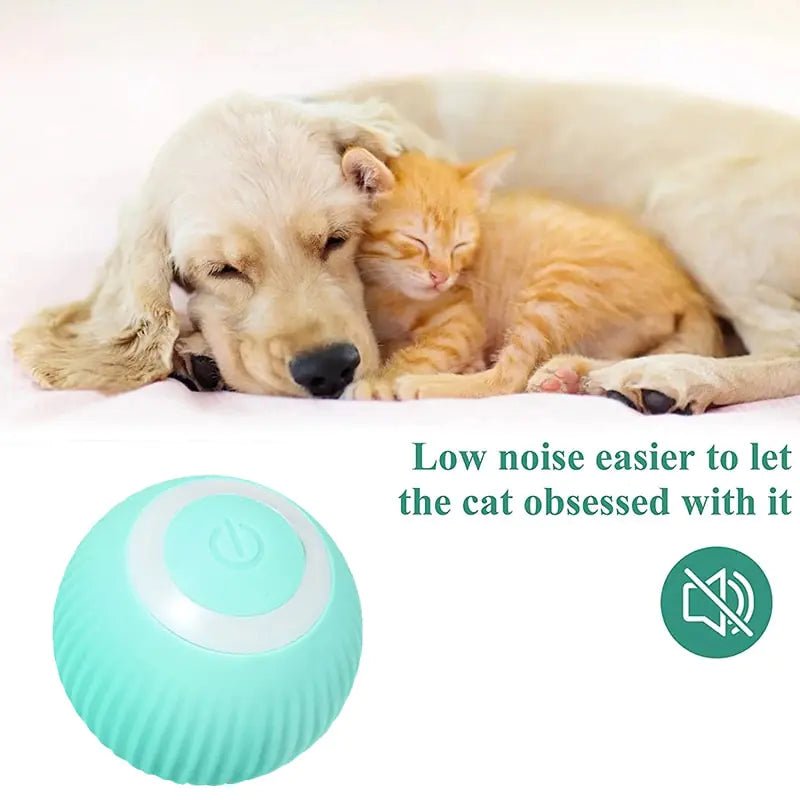 Electric Smart Dog Ball Toys - Purrfection Palace