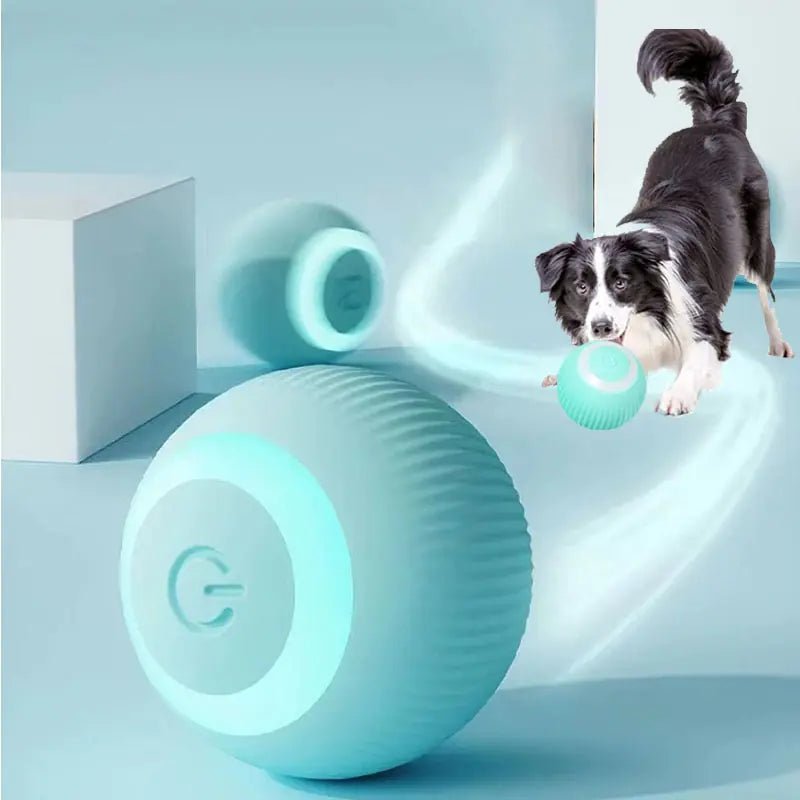 Electric Smart Dog Ball Toys - Purrfection Palace