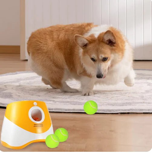 FetchPro Automatic Dog Ball Launcher - Purrfection Palace