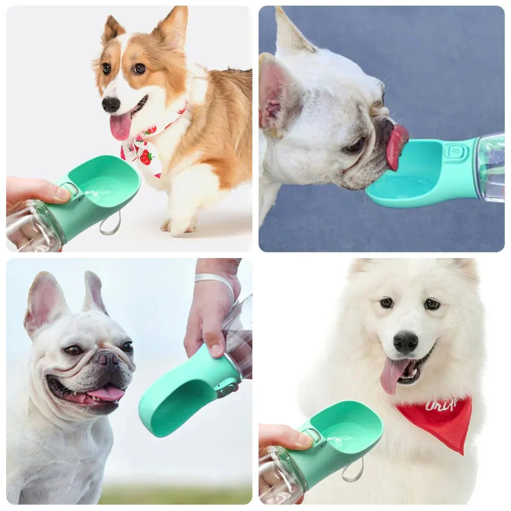 Leakproof Portable Pet Water Bottle - Purrfection Palace