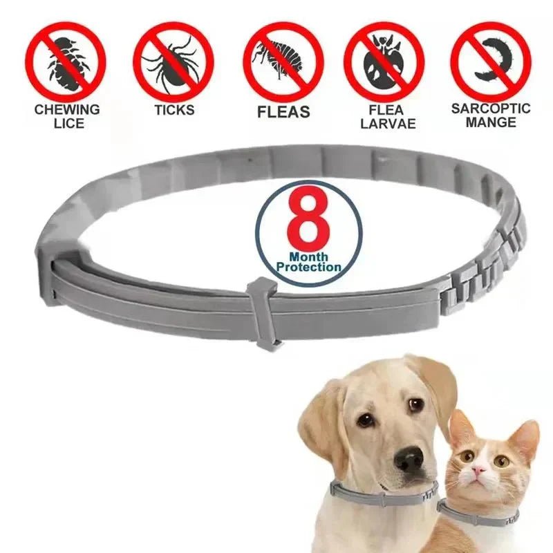 Pet Anti - Flea Tick Collar - Purrfection Palace