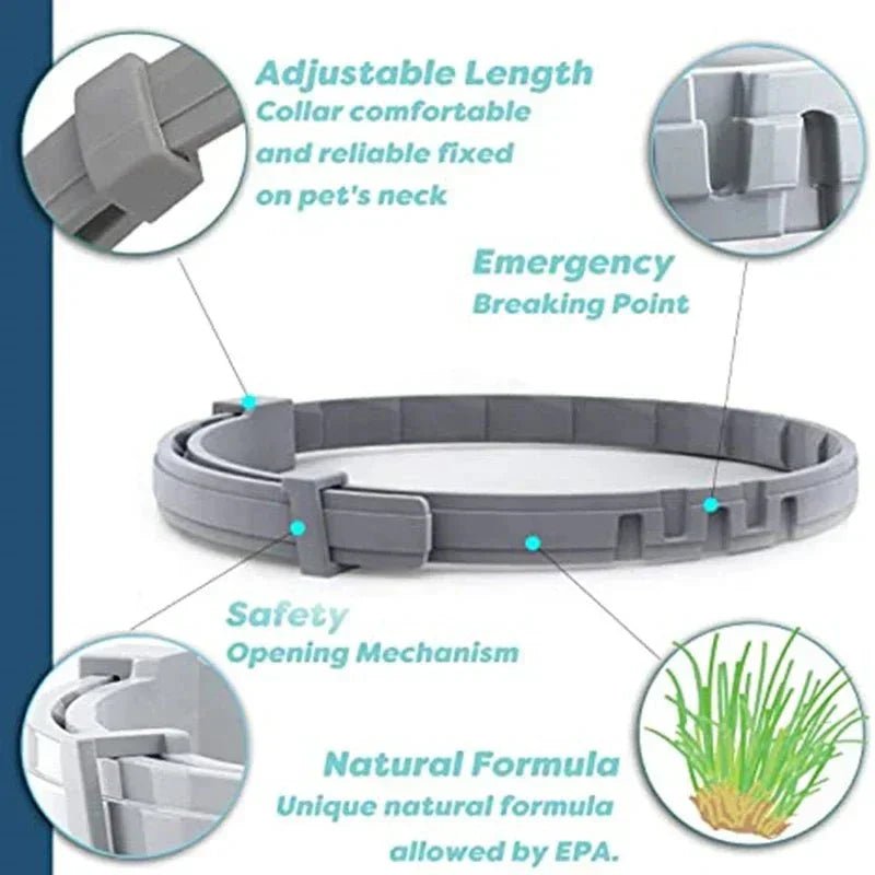 Pet Anti - Flea Tick Collar - Purrfection Palace