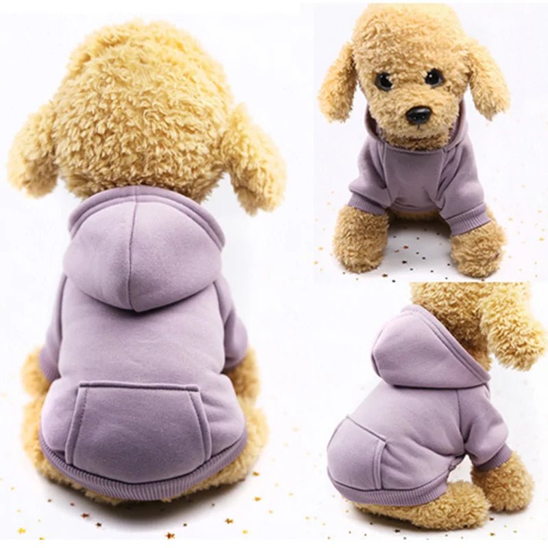 Pet Clothes For Small Dogs - Purrfection Palace