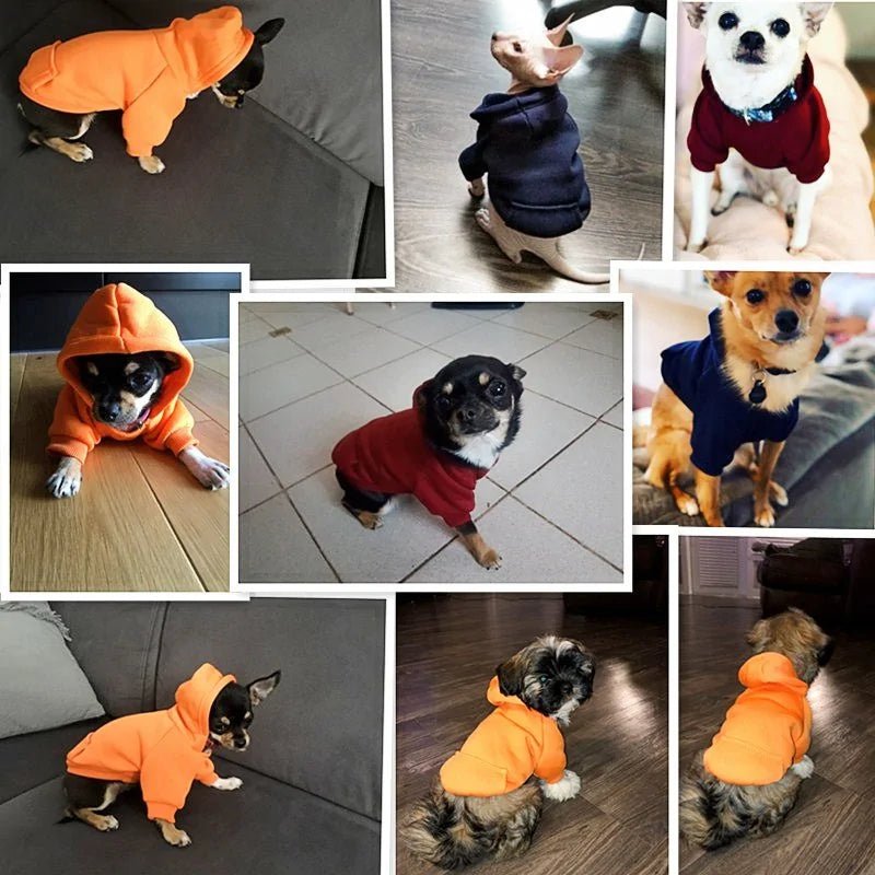 Pet Clothes For Small Dogs - Purrfection Palace