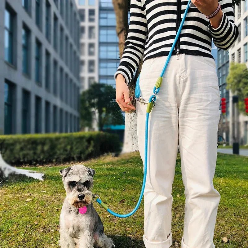 Reflective Nylon Hands - Free Dog Leash - Purrfection Palace