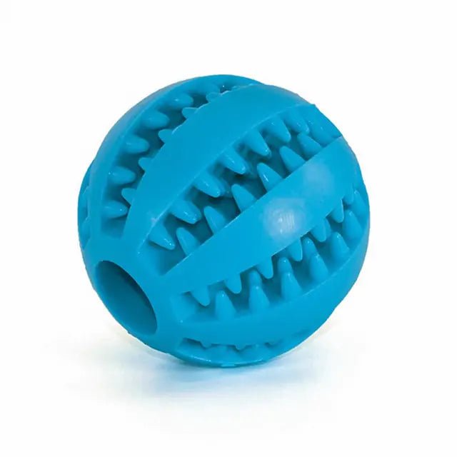 Watermelon Ball Dog Toy - Purrfection Palace