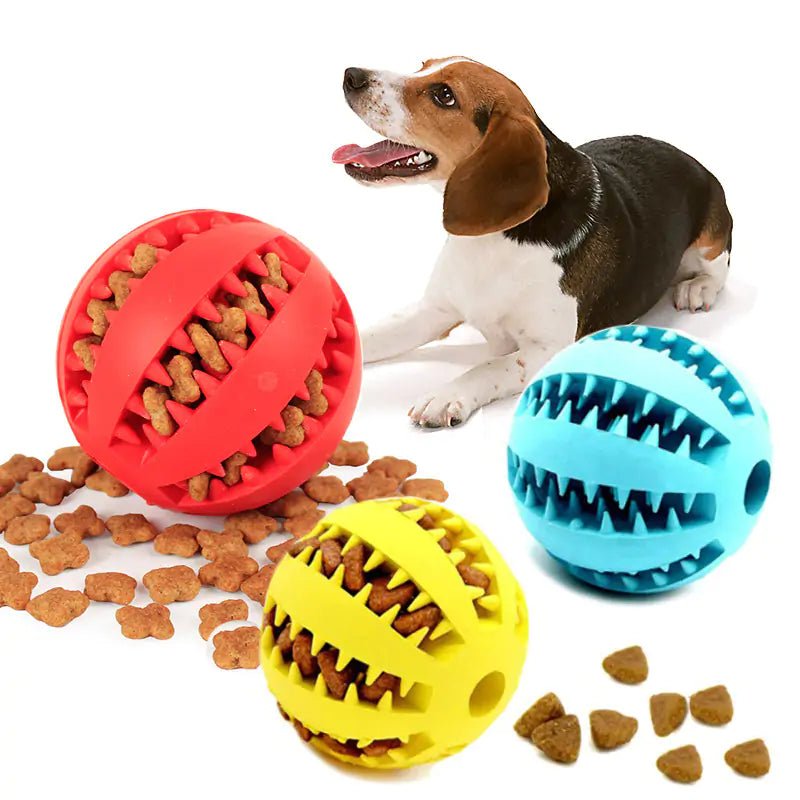 Watermelon Ball Dog Toy - Purrfection Palace