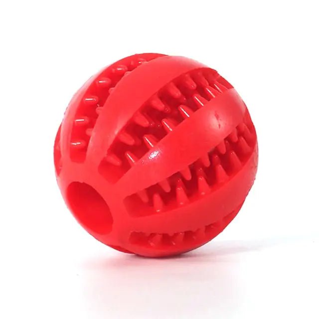 Watermelon Ball Dog Toy - Purrfection Palace