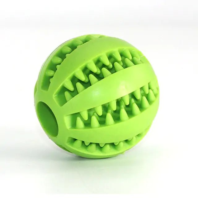 Watermelon Ball Dog Toy - Purrfection Palace